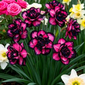 Нарцисс Золотая Корона купить по цене от 2000р. в интернет-магазине «Посадика» с доставкой почтой в в Москве и по всей России – [изображение №1].