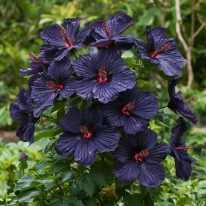 Гибискус Мэджик Момент купить по цене от 699р. в интернет-магазине «Посадика» с доставкой почтой в в Москве и по всей России – [изображение №1].